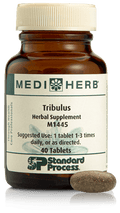 Tribulus, 40 Tablets